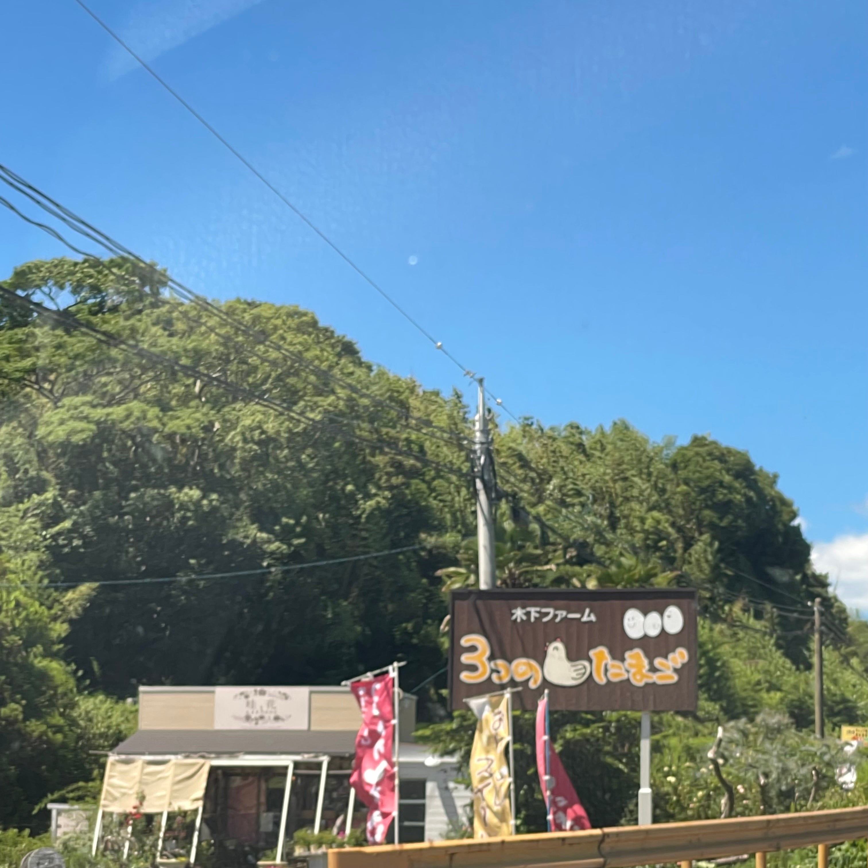 木下ファーム_2枚目