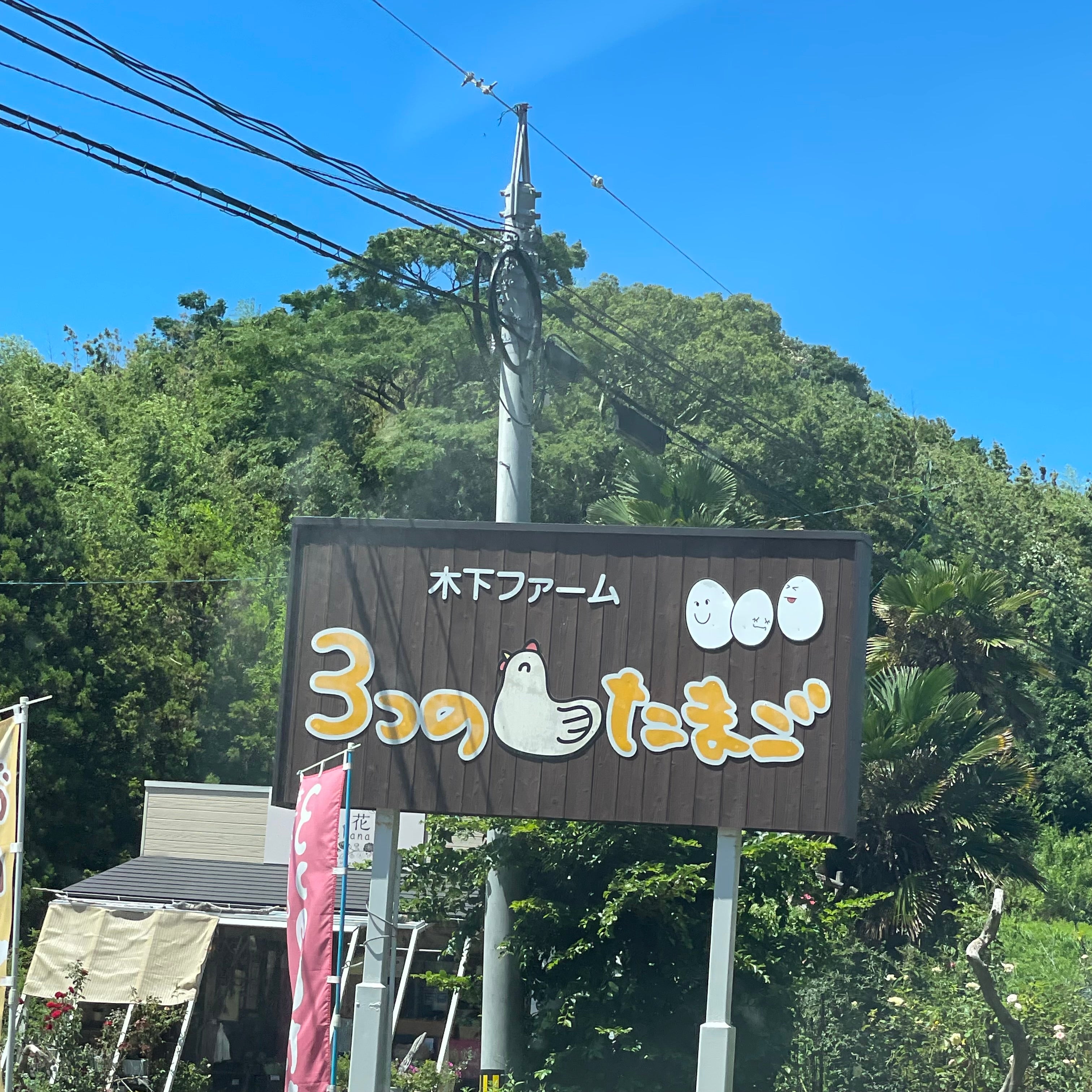 木下ファーム_3枚目