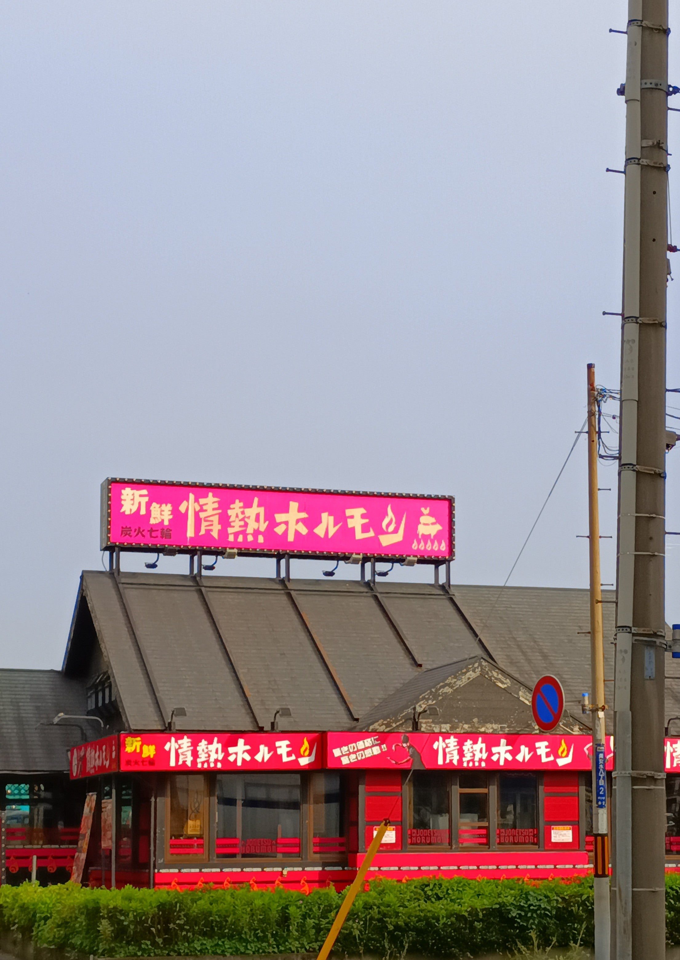 美女木酒場 情熱ホルモン_1枚目