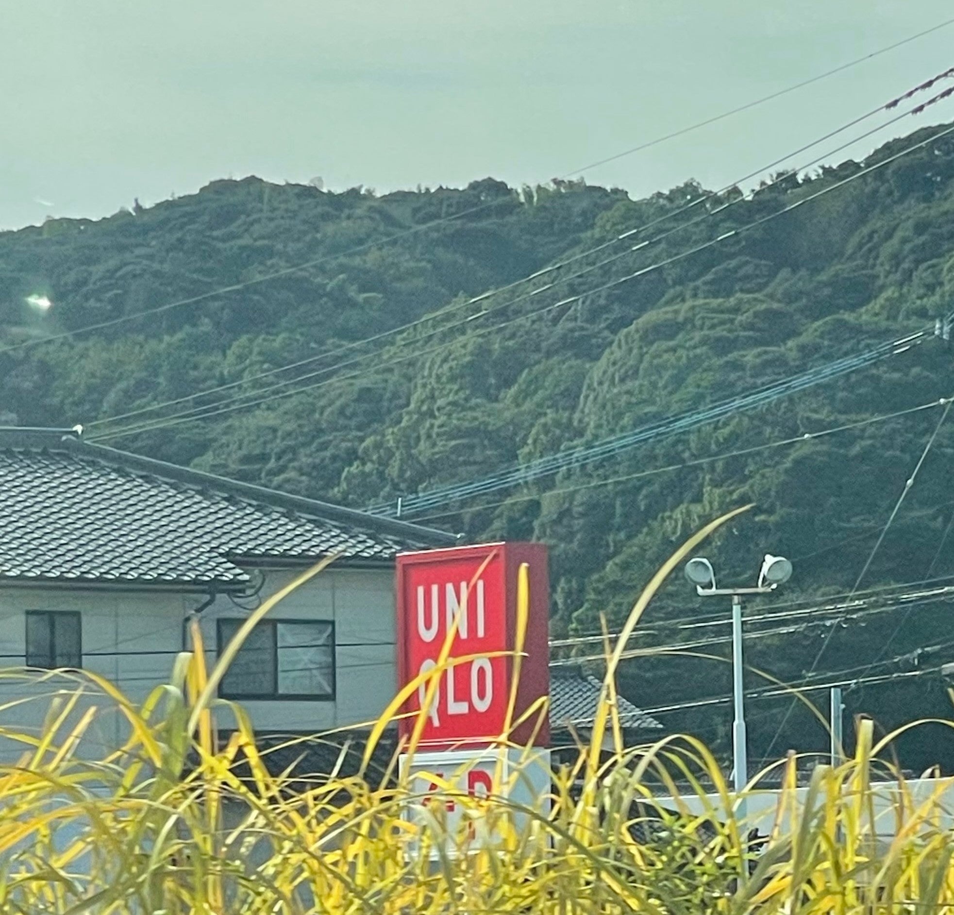 ユニクロ唐津店_3枚目