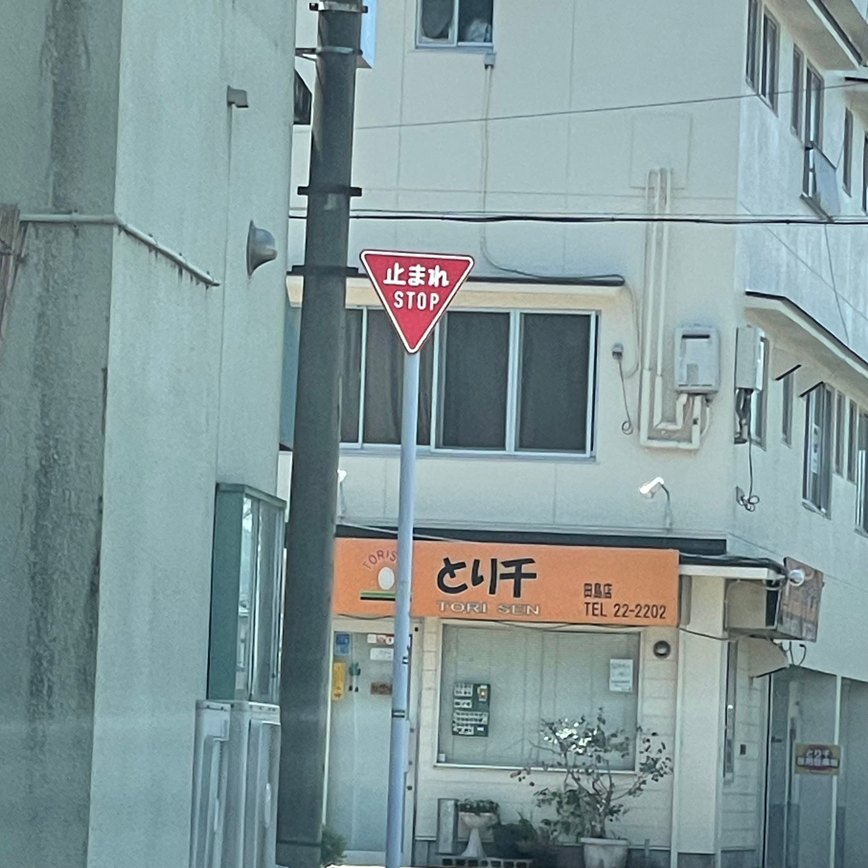 とり千_3枚目