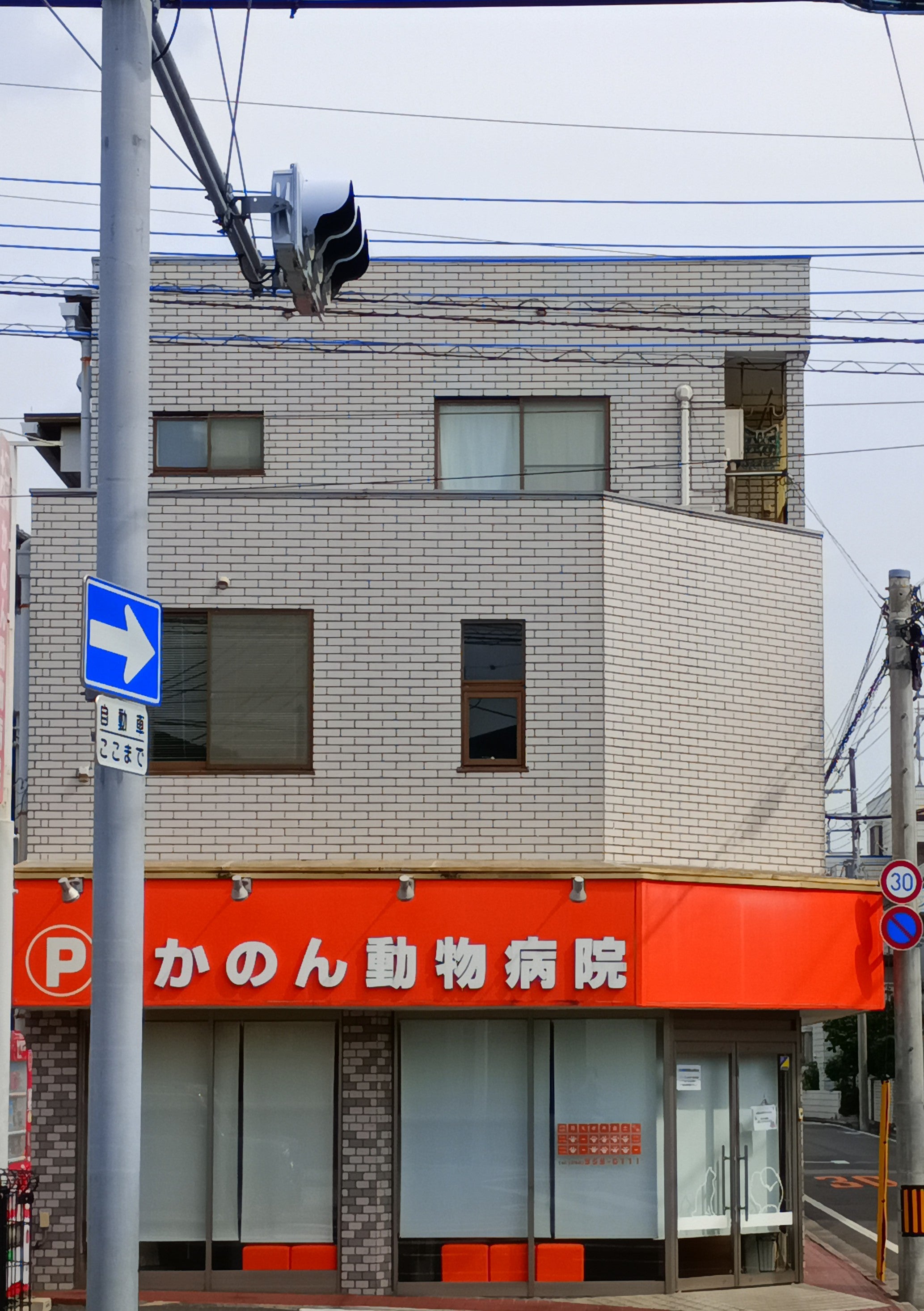 かのん動物病院_2枚目