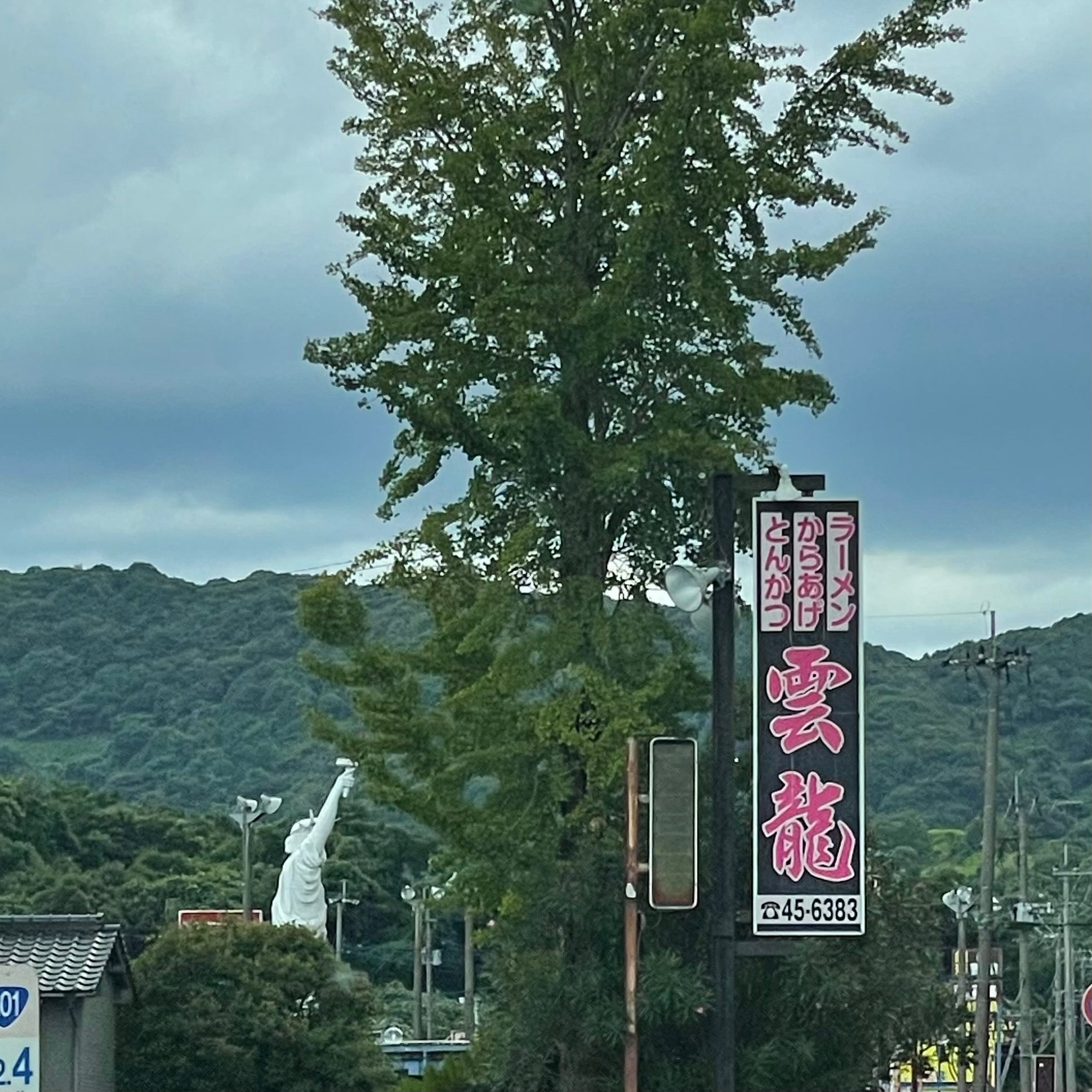 雲龍_2枚目