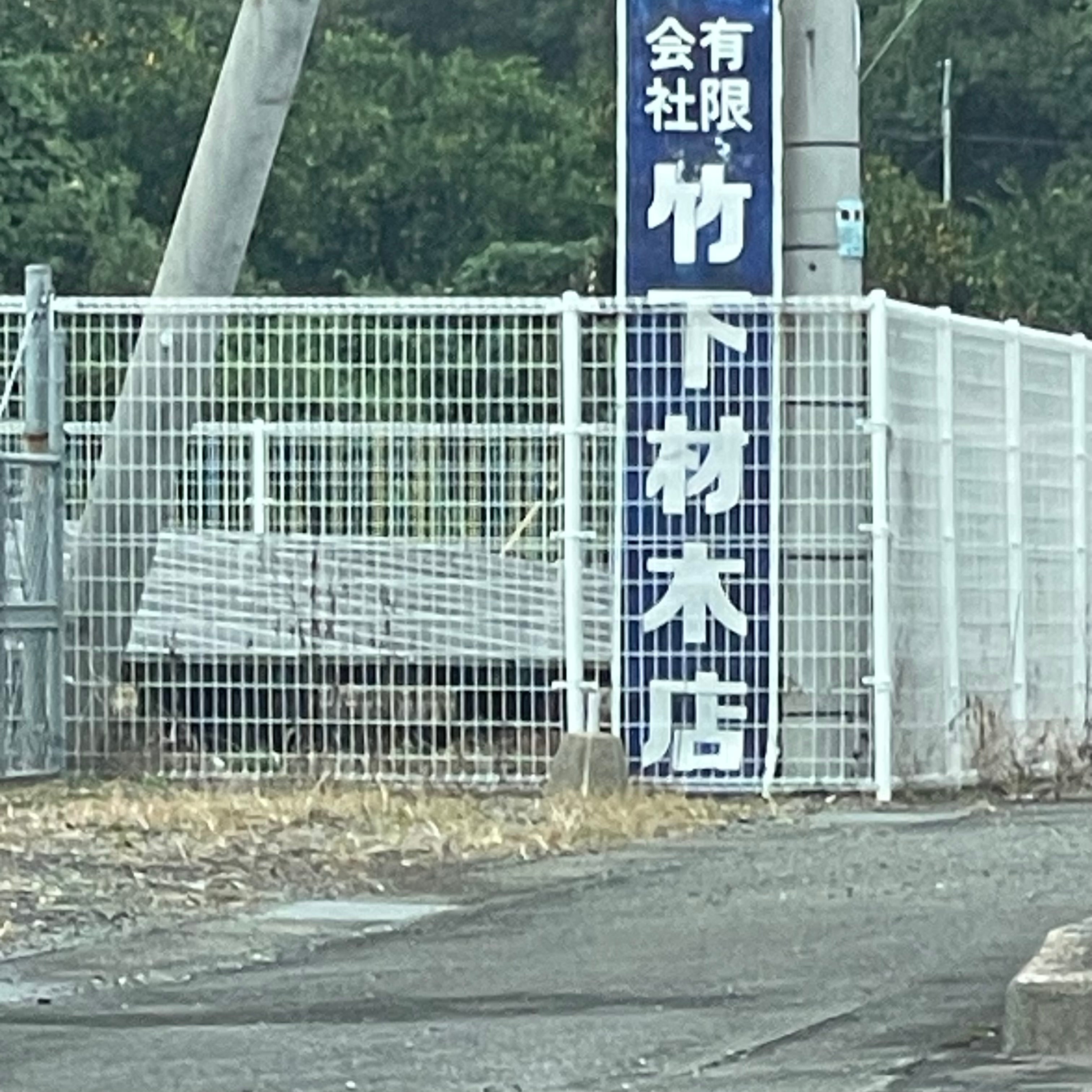 有限会社竹下材木店