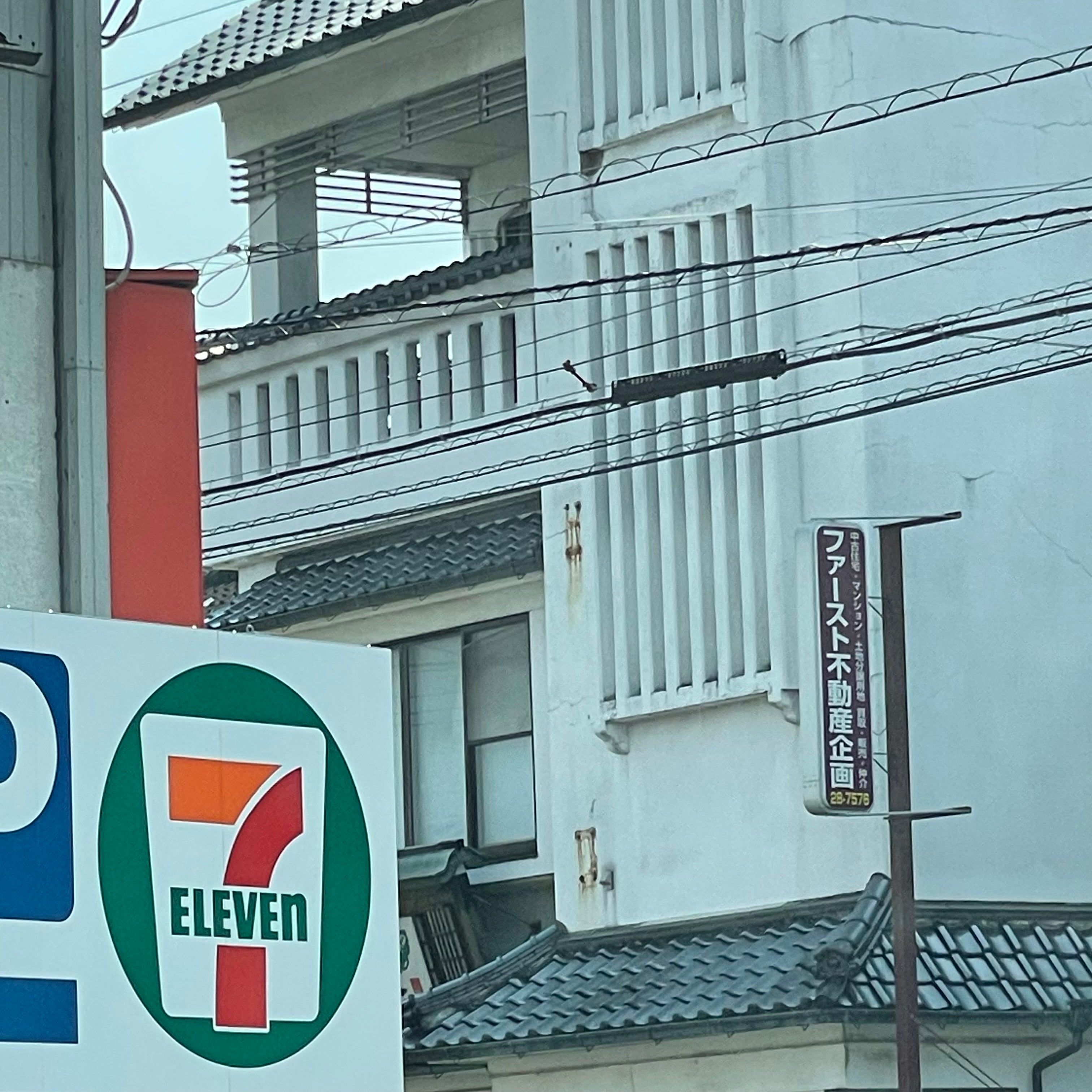 有限会社ファースト不動産企画_1枚目