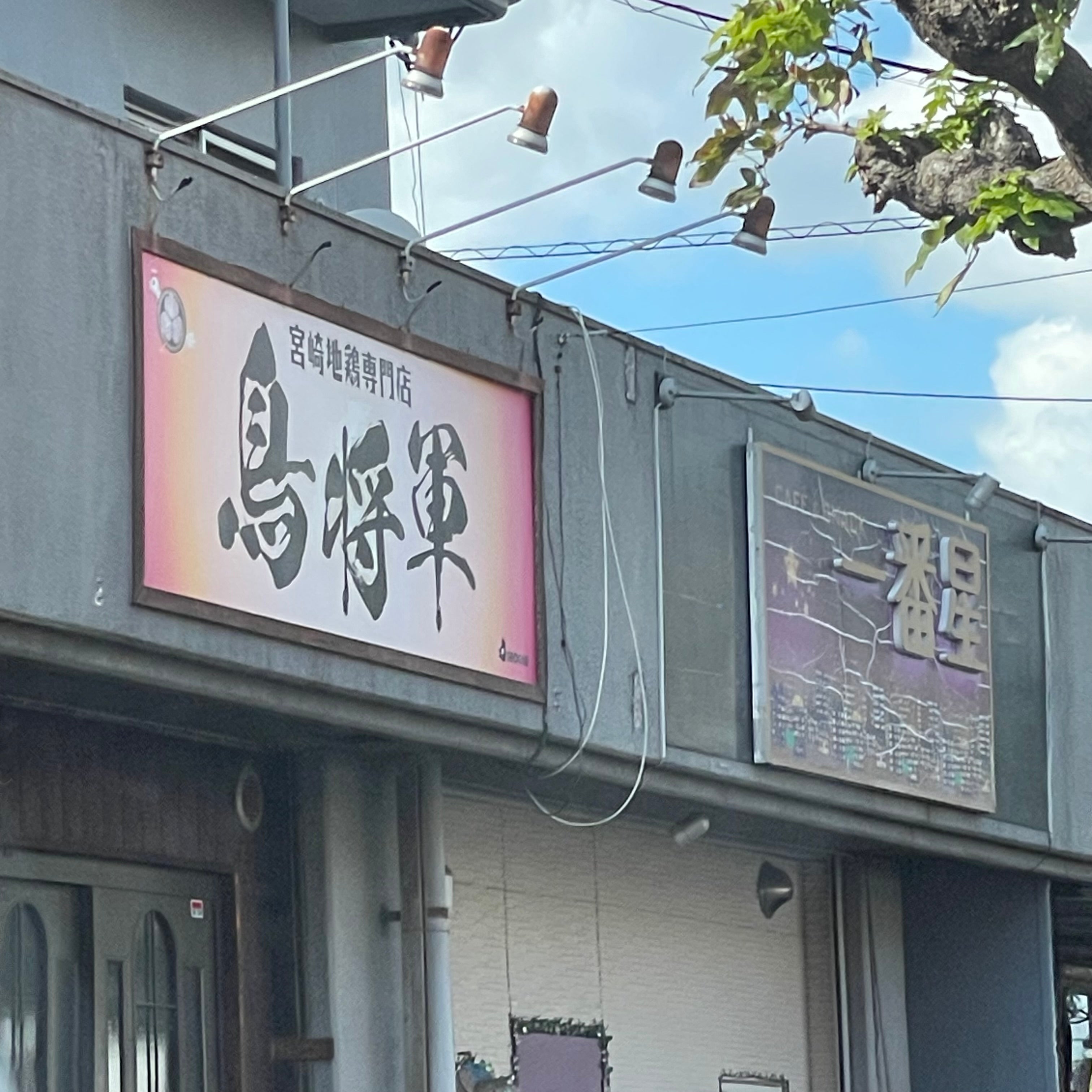 鳥・将軍