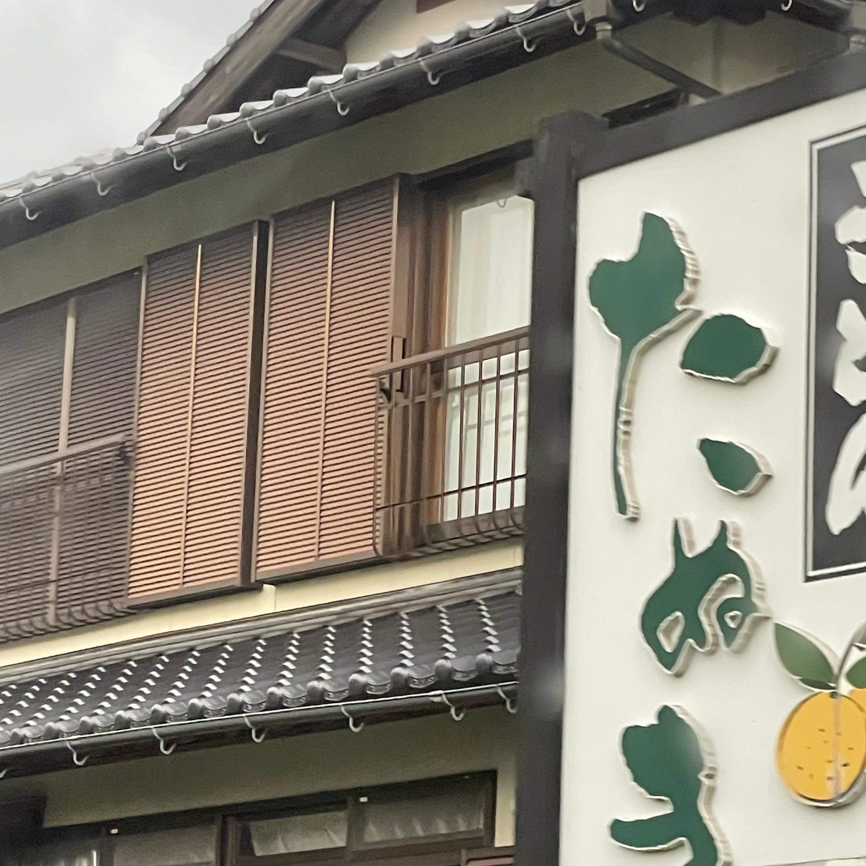 たぬき_1枚目