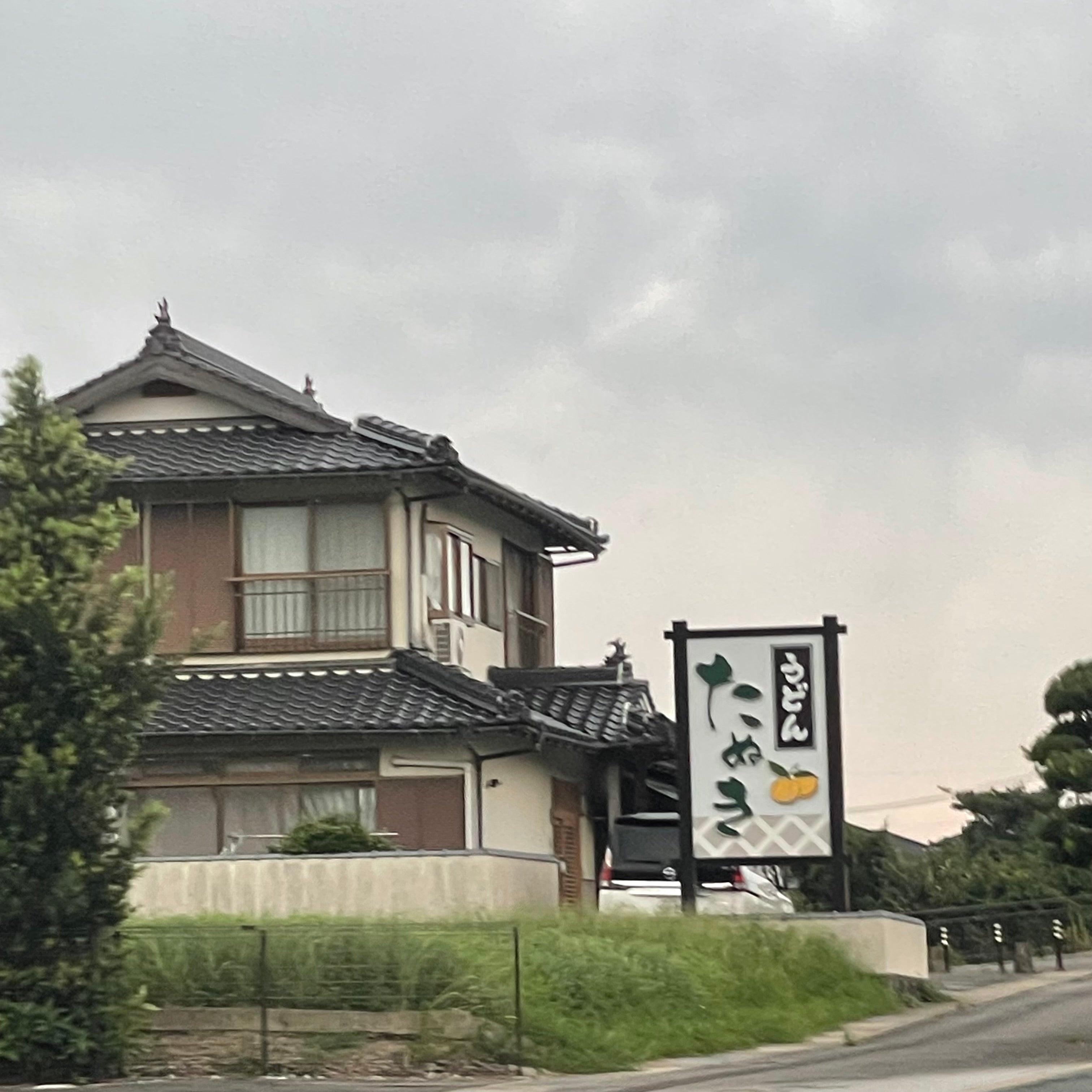たぬき_2枚目