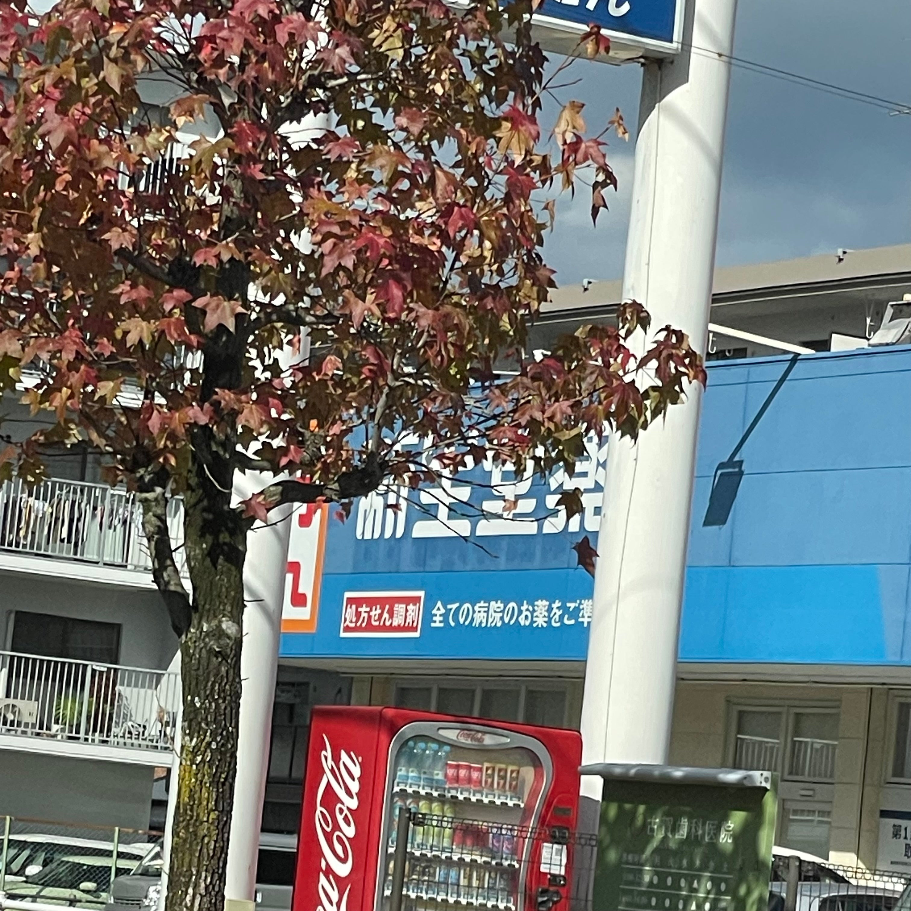 新生堂薬局　那珂川店_2枚目