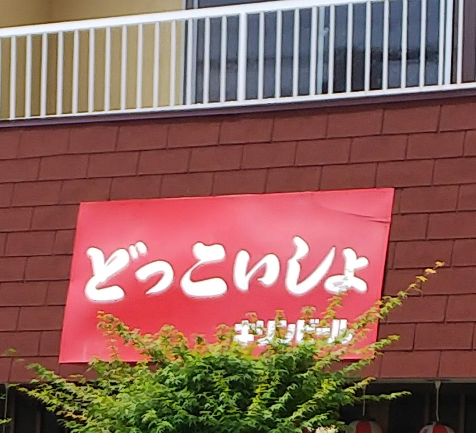 どっこいしょ_1枚目