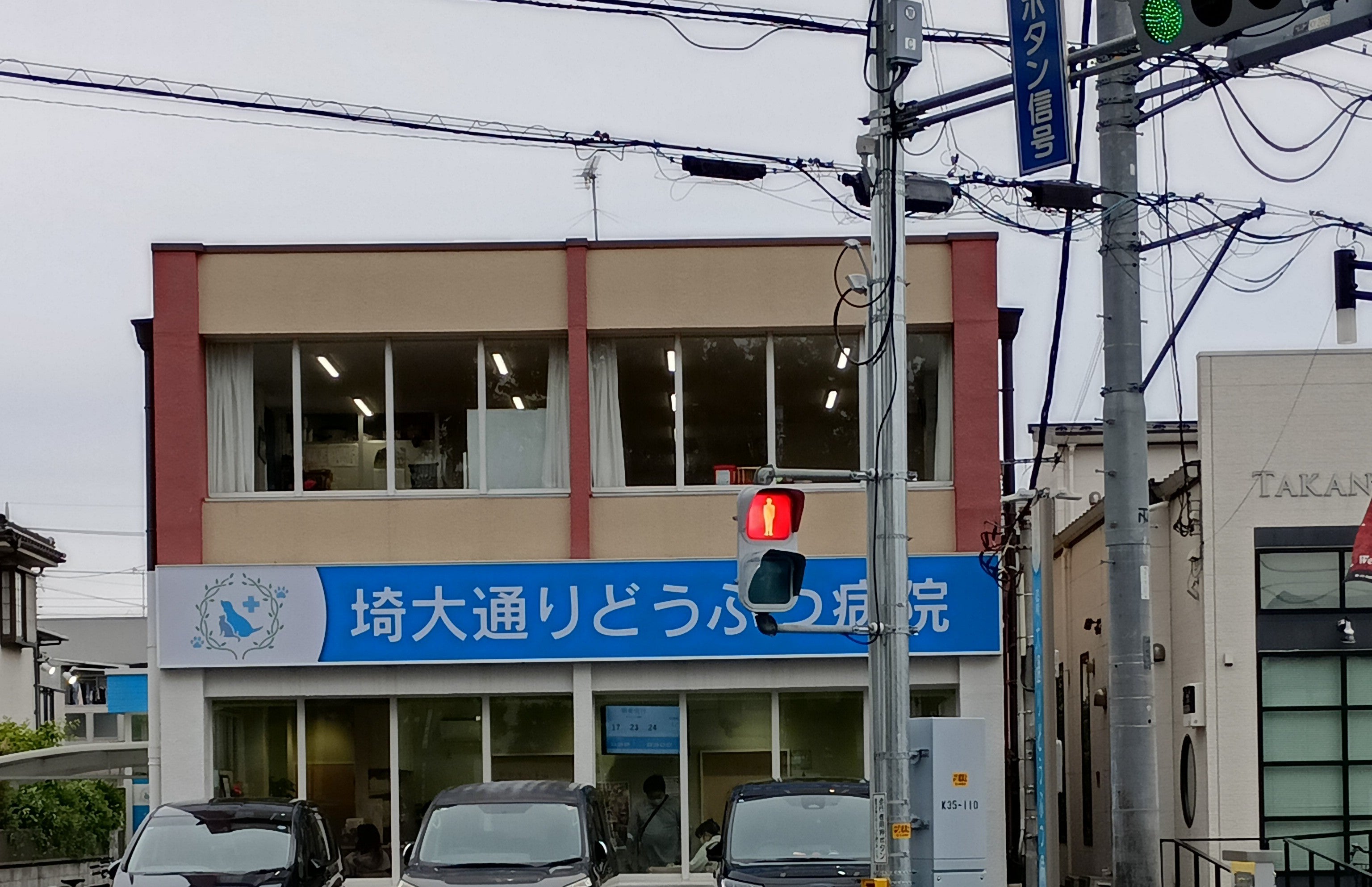 埼大通りどうぶつ病院_2枚目