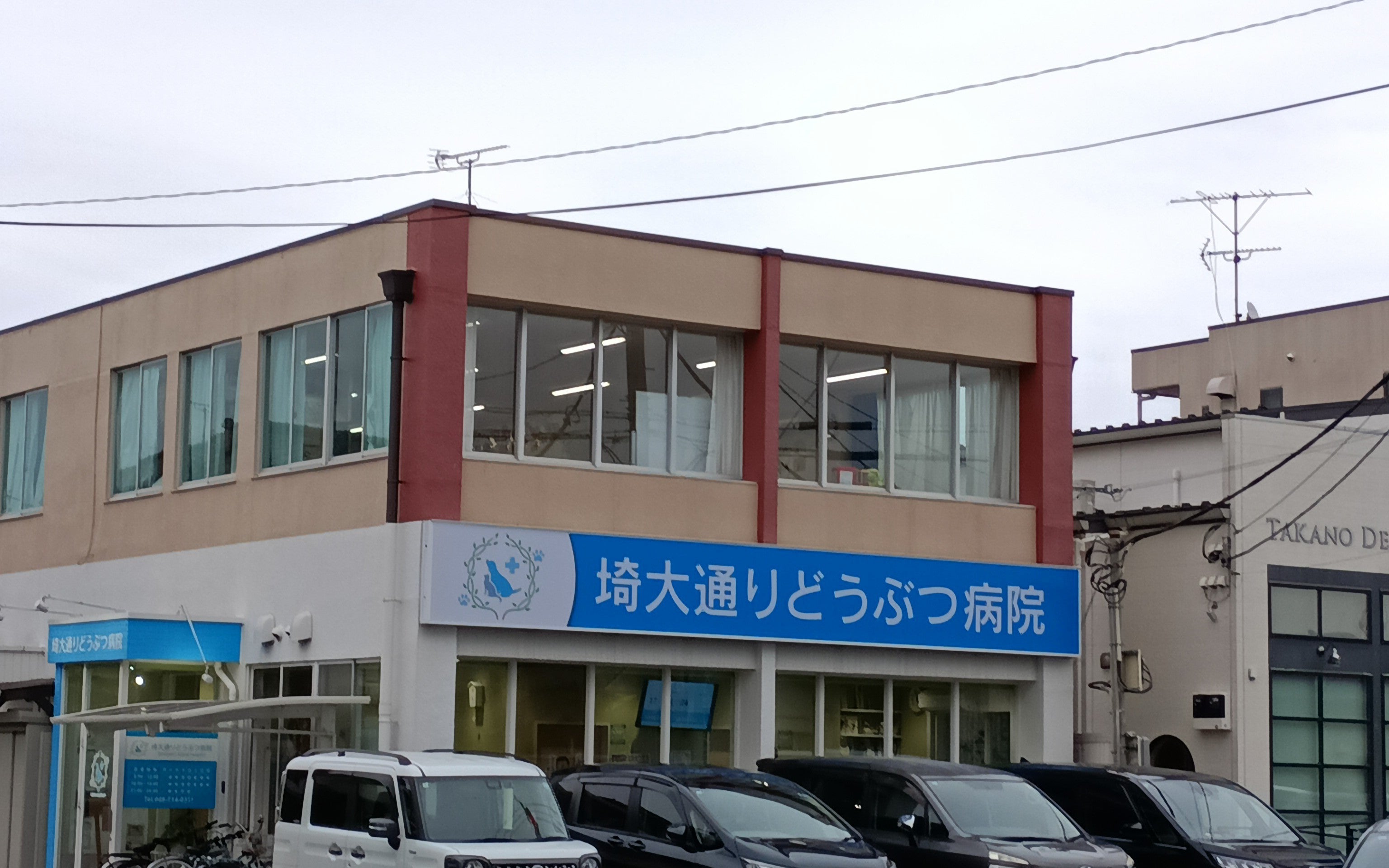 埼大通りどうぶつ病院_3枚目