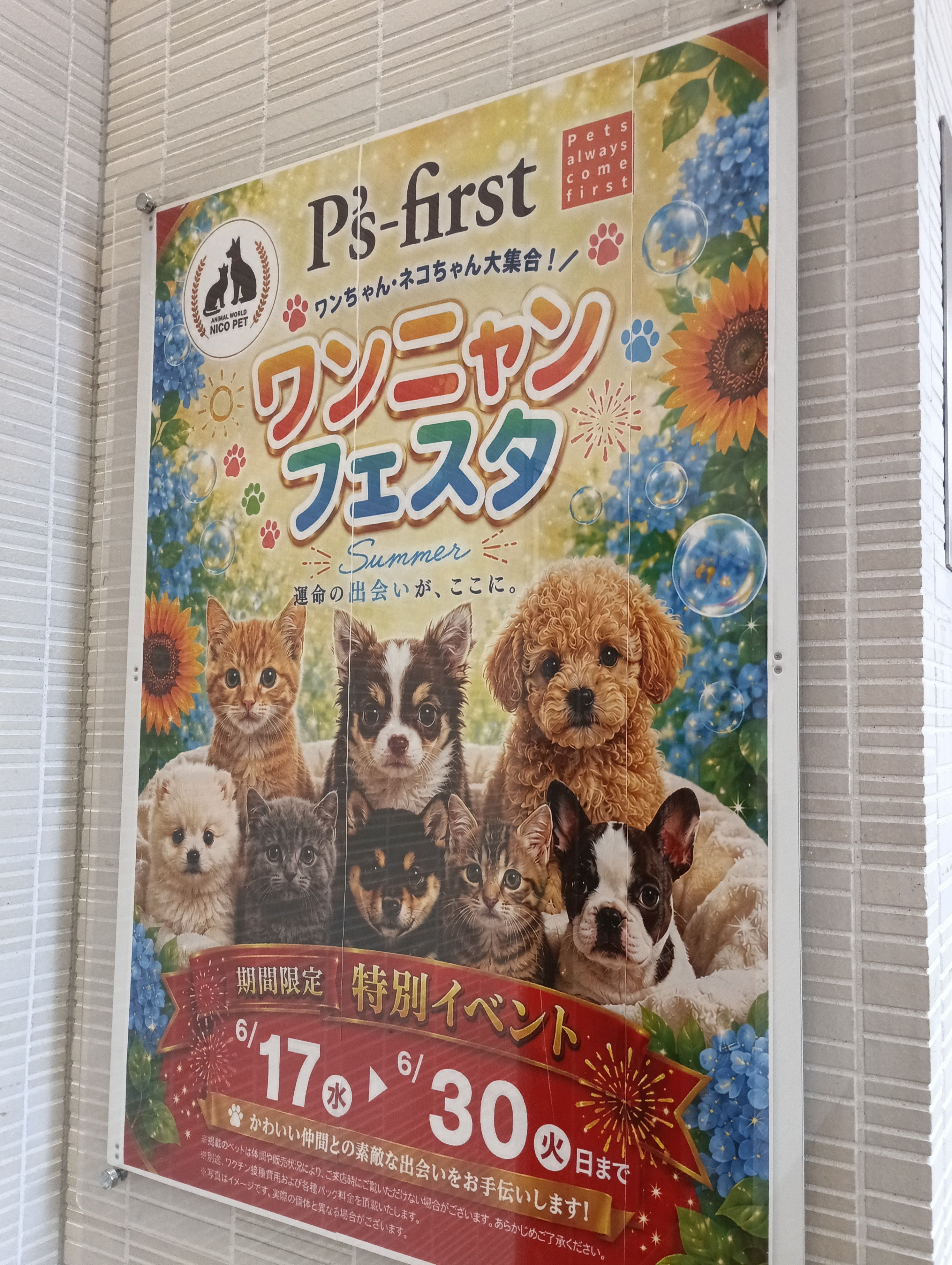 ペッツファースト株式会社_2枚目