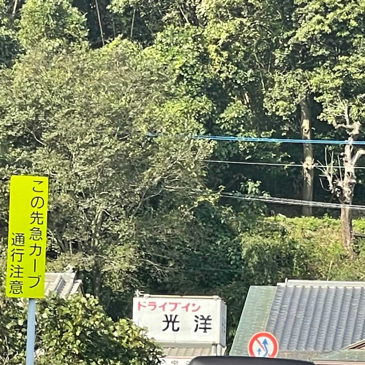 ドライブイン光洋_2枚目
