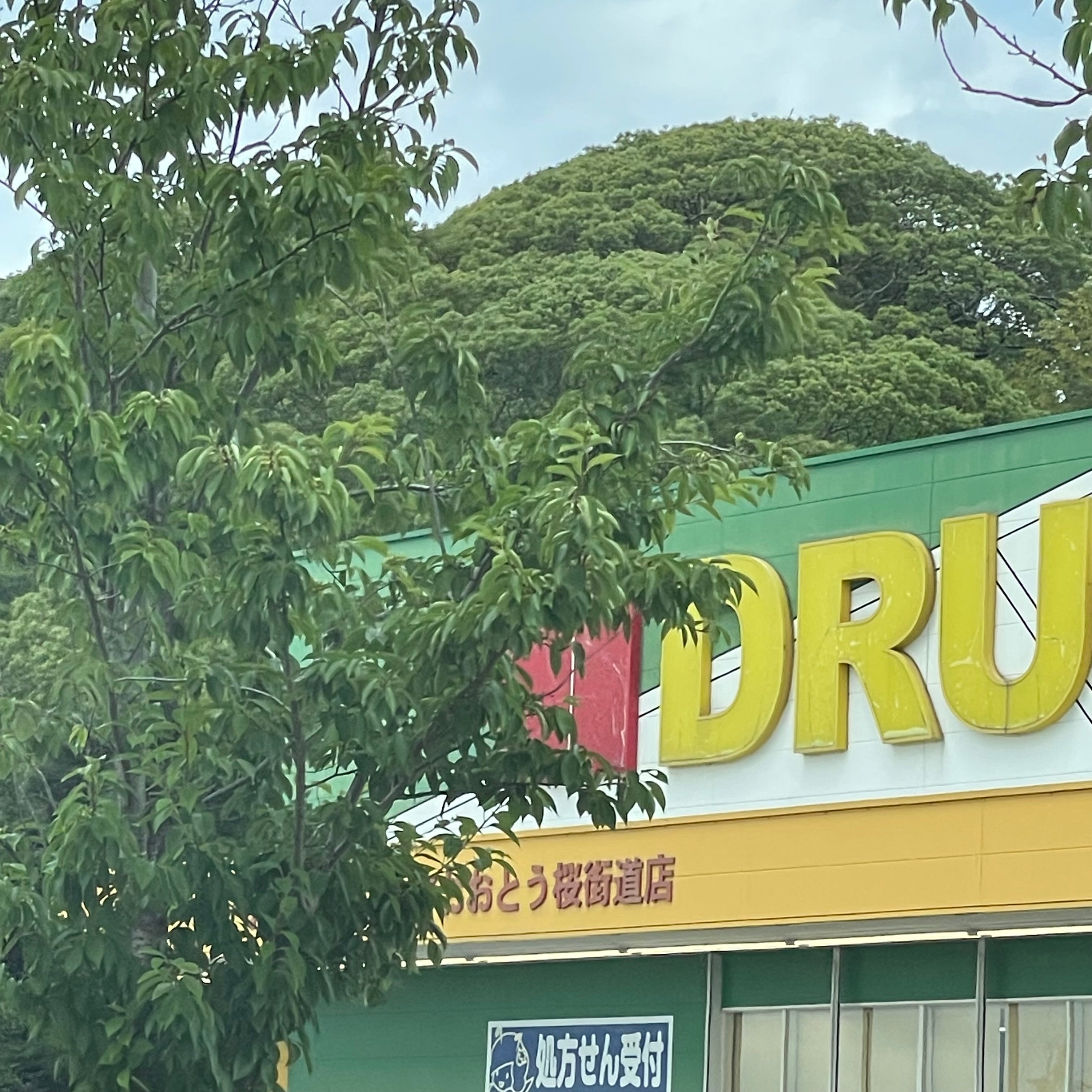 ドラッグ・コーエイおおとう　桜街道店_2枚目