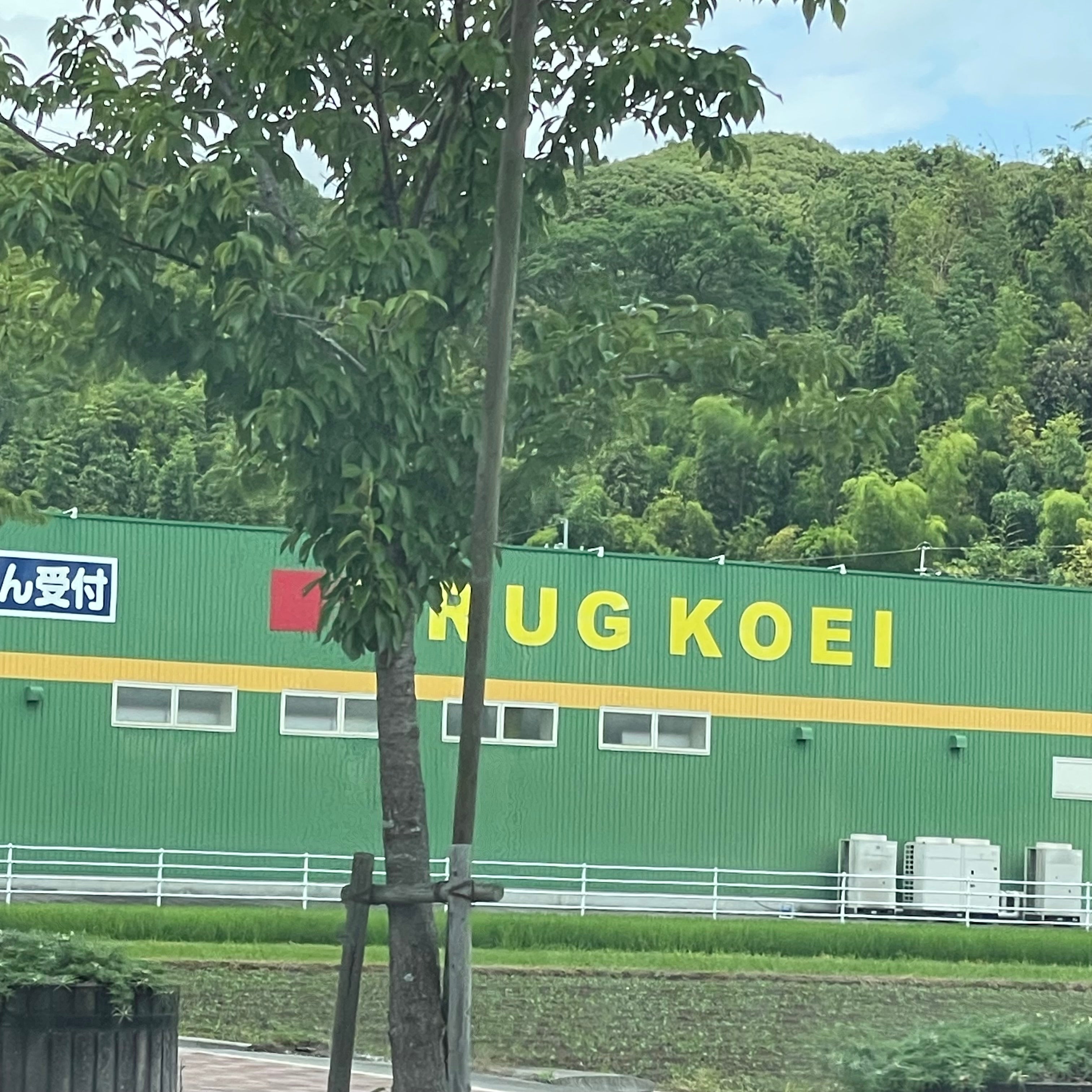 ドラッグ・コーエイおおとう　桜街道店_3枚目