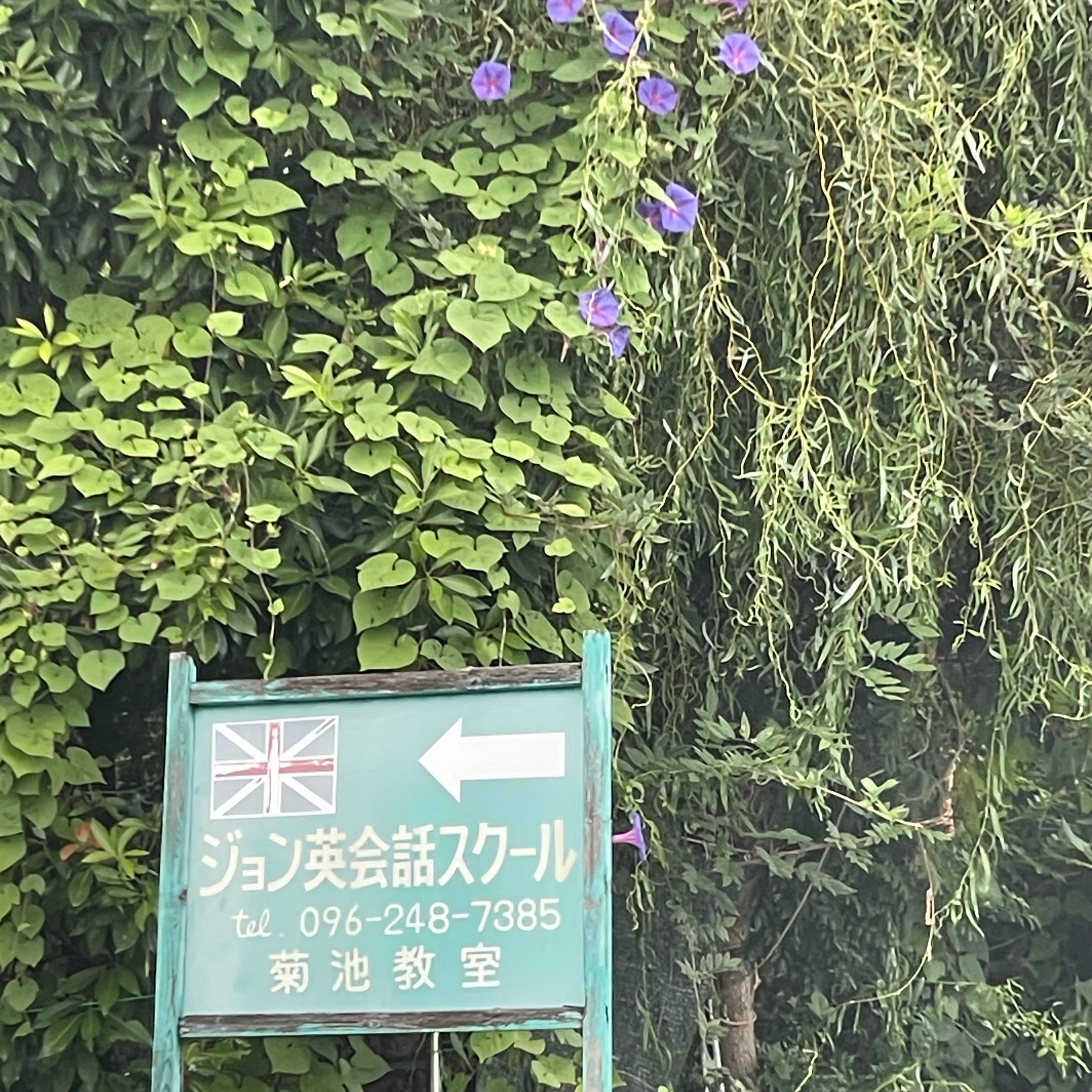 ジョン英会話スクール菊池、山鹿、合志、菊陽教室_2枚目