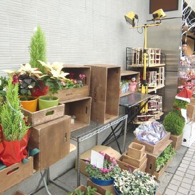 2010/11/26に投稿された、HIBIYA KADAN 新宿小田急エース店の外観の写真