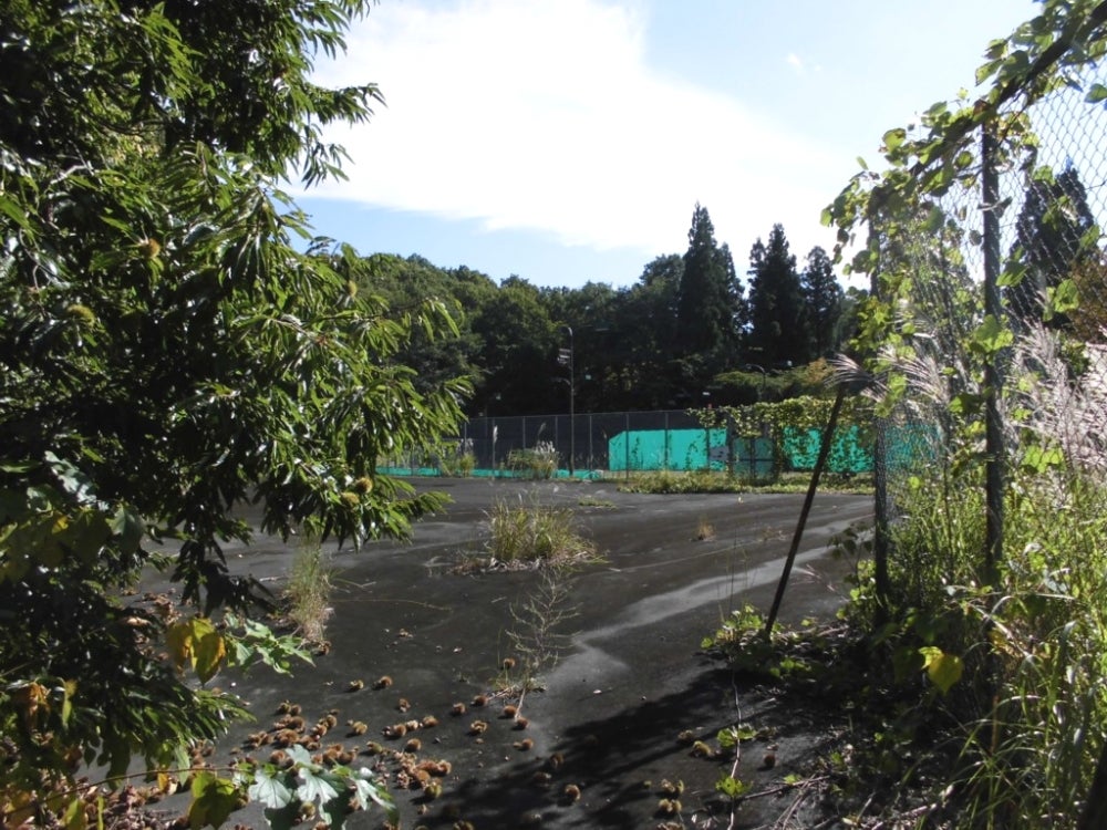 奥津運動公園_1枚目