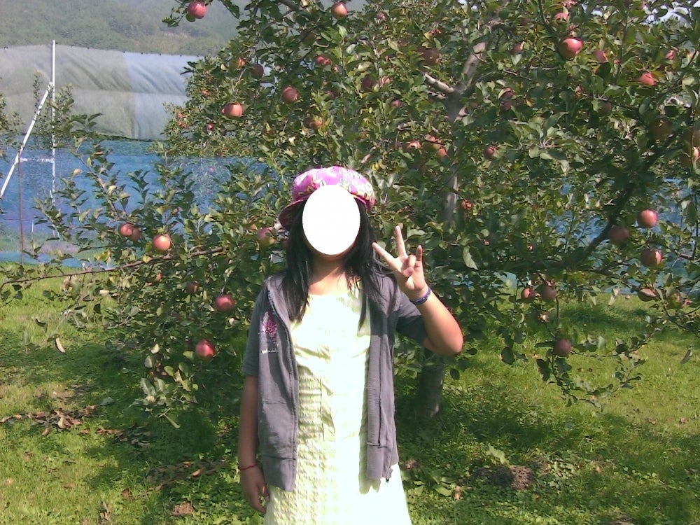 山上観光りんご園_2枚目