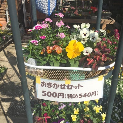 2016/11/05にtakusinnkaiが投稿した、花遊瑞花の商品の写真