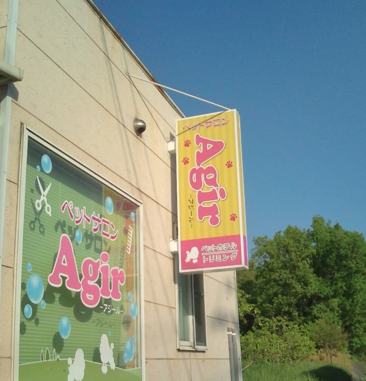 アジール（Ａｇｉｒ）