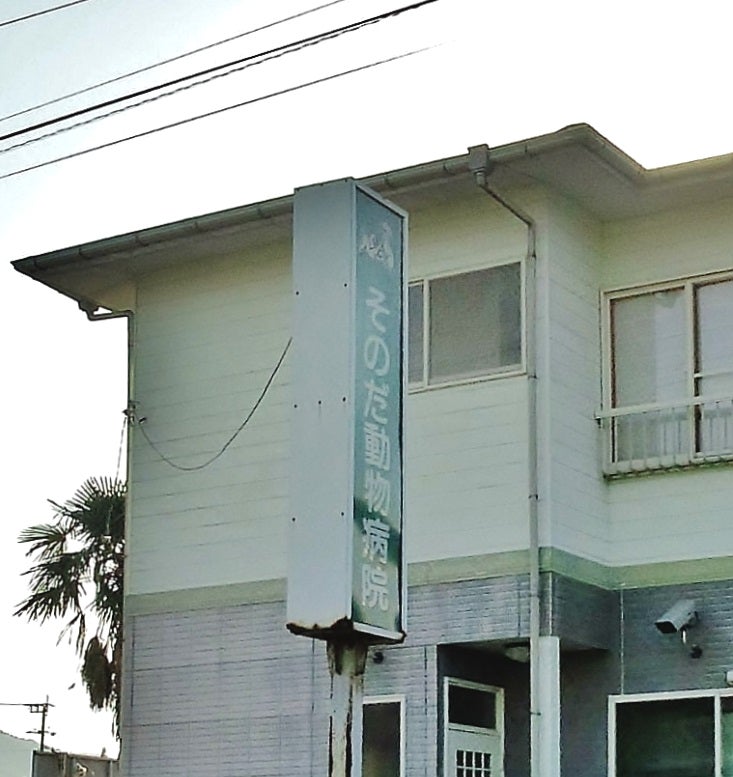 そのだ動物病院_2枚目