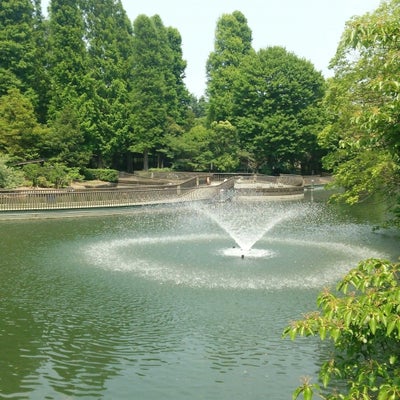 2017/06/25にスフレが投稿した、東京都井の頭恩賜公園のその他の写真