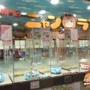 2012/02/17に花屋のけんちゃんが投稿した、ニャンラブ 名古屋本店の店内の様子の写真