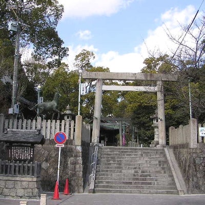 2012/02/21に風花が投稿した、深川神社の外観の写真