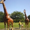2012/03/13にTOMYが投稿した、市川市動植物園の雰囲気の写真