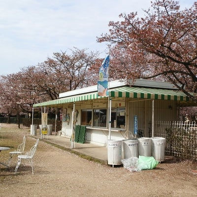 2012/04/18にうどんファン(引退)が投稿した、ＲＳＫバラ園の店内の様子の写真