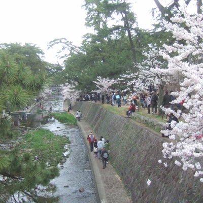2018/04/06にりゅうが投稿した、夙川公園の雰囲気の写真