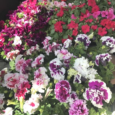 2018/04/18にtakusinnkaiが投稿した、花遊瑞花の商品の写真