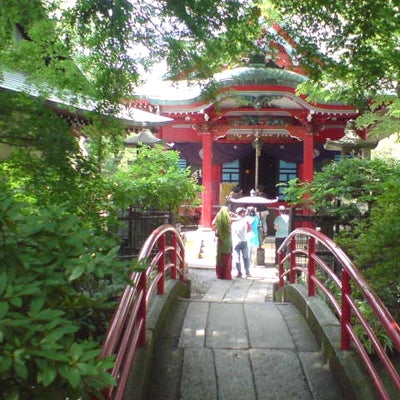 2012/07/22に鷹太郎が投稿した、東京都井の頭恩賜公園のその他の写真