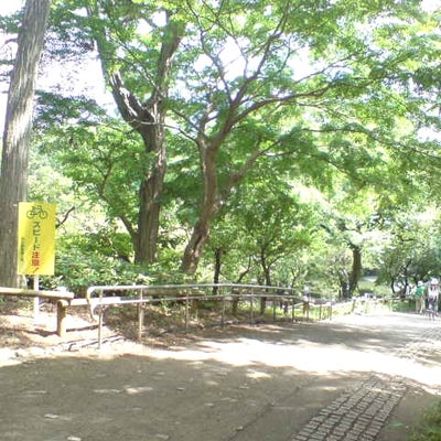 2012/07/22に鷹太郎が投稿した、東京都井の頭恩賜公園の雰囲気の写真