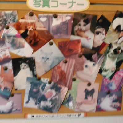 2018/08/14にTKNが投稿した、新潟カイロプラクティック　いずみだ整体院の店内の様子の写真