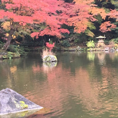 2018/09/18に須田 一(すだ はじめ)が投稿した、成田山新勝寺の雰囲気の写真