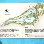 2012/07/25に投稿された、東京都井の頭恩賜公園のその他の写真