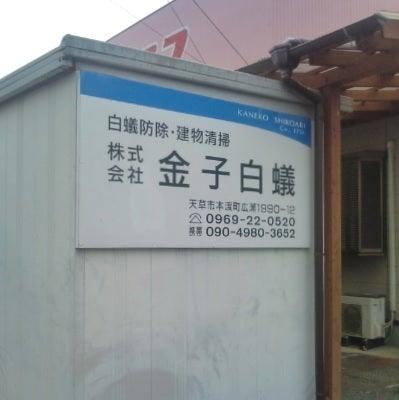 株式会社金子白蟻