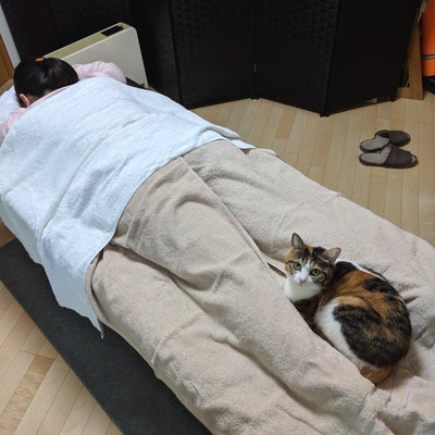 2019/01/11にmegusan341が投稿した、ねころびスタジオ Cat Stretchのスタッフの写真