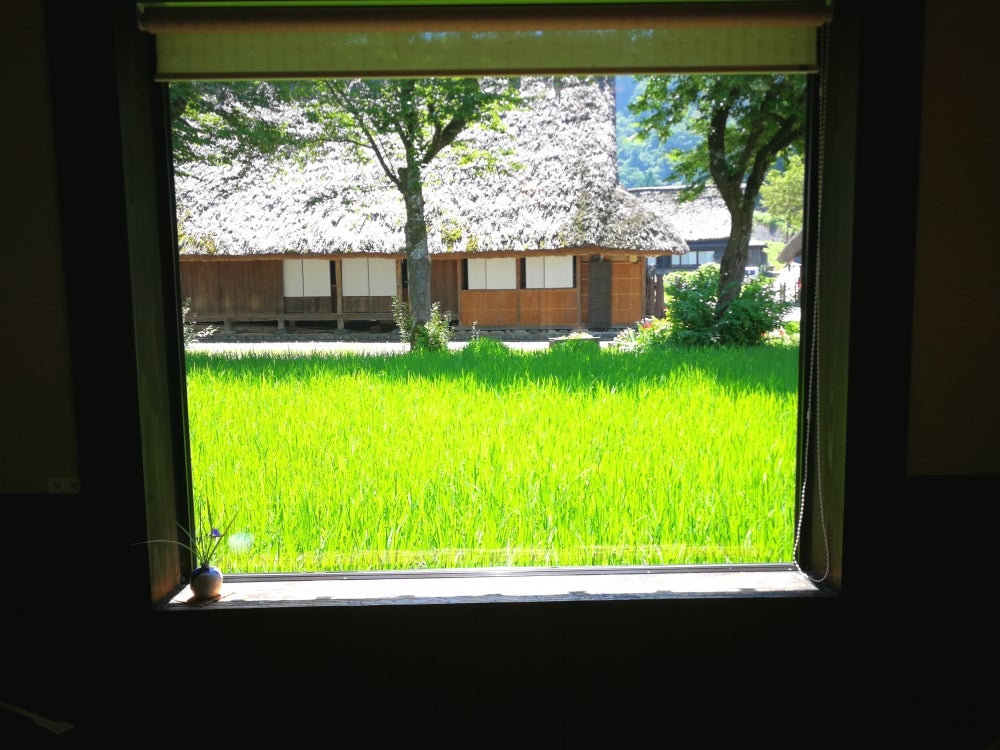 茶房 掌