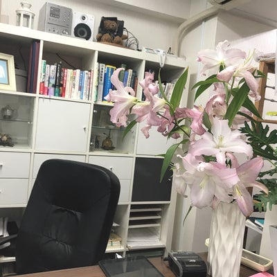 2019/07/17にマリリンが投稿した、ファインカイロプラクティック｜仙台・北四番丁の店内の様子の写真