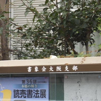 2019/07/22にりゅうが投稿した、書象会大阪支部の外観の写真
