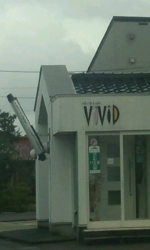 vivid