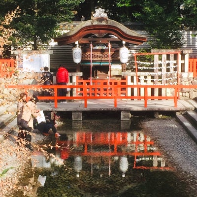 2020/01/14にアミュウが投稿した、下鴨神社の雰囲気の写真