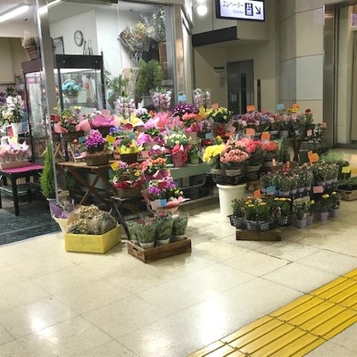2020/02/10にハーモニーアロマ つくば店が投稿した、グリーンライフ熊谷駅店の店内の様子の写真