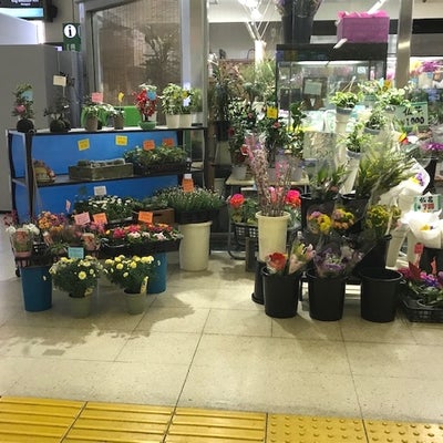 2020/02/10にハーモニーアロマ つくば店が投稿した、グリーンライフ熊谷駅店の店内の様子の写真