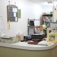 2013/02/04にYuji Shimizuが投稿した、亀戸矯正歯科診療所の店内の様子の写真