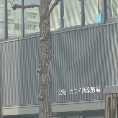 2021/04/05にlpfcq460が投稿した、カワイ音楽教室　京都の外観の写真